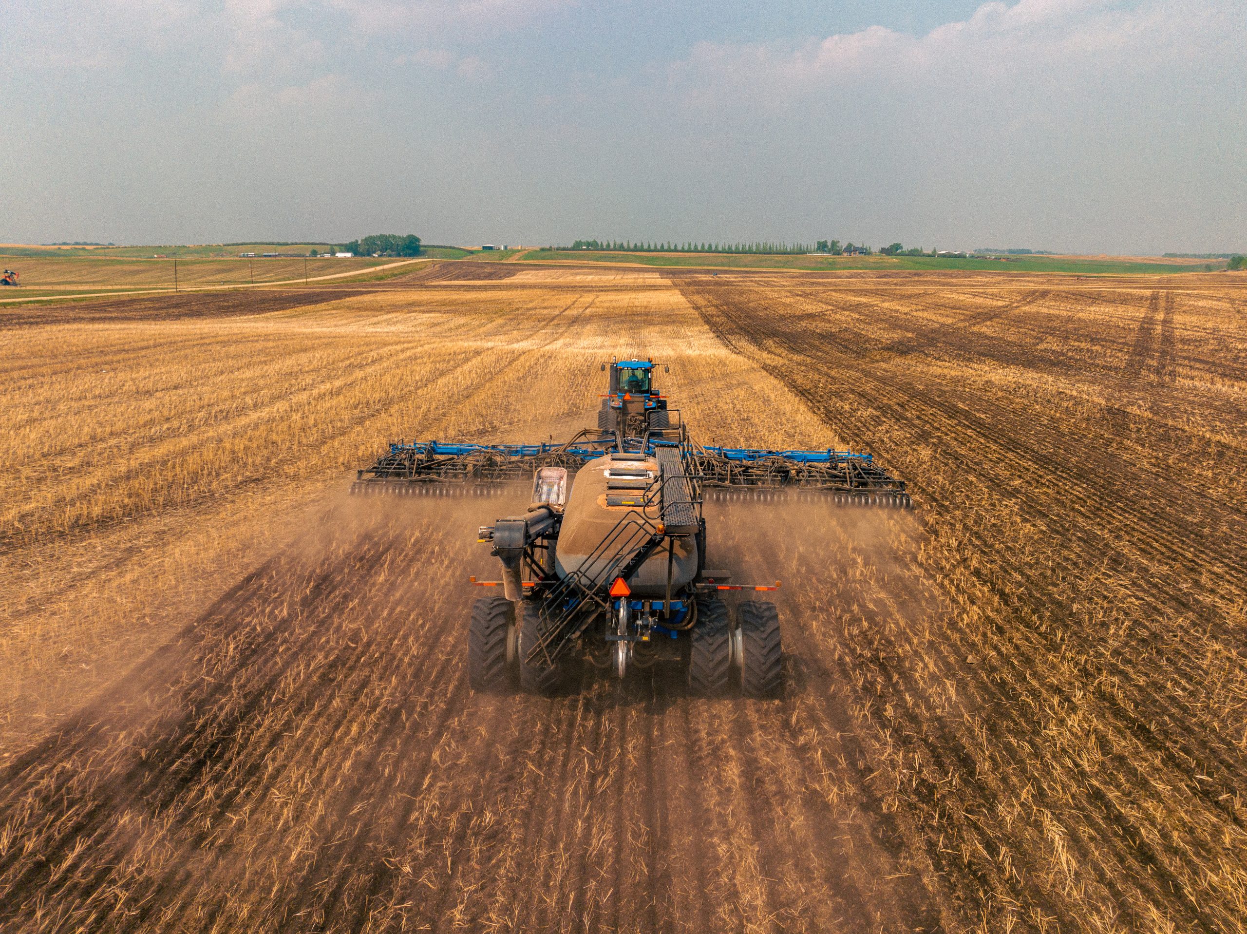 Managing fertilizer’s salt effect in drought